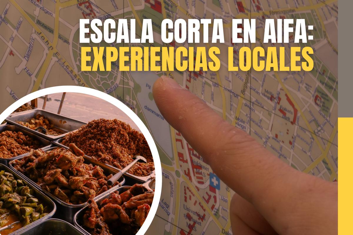 Experiencias locales para viajeros que hacen escala cerca del Aeropuerto Internacional Felipe Ángeles