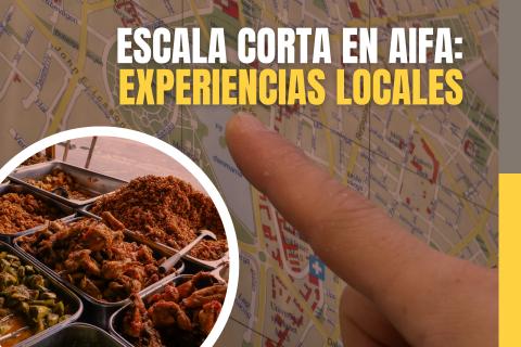 Experiencias locales para viajeros que hacen escala cerca del Aeropuerto Internacional Felipe Ángeles